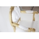 FAUTEUIL TEXAS OR