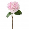 TIGE HORTENSIA ROSE
