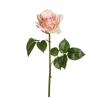 TIGE ROSE PALE