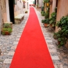 TAPIS ROUGE 1Mx30M