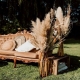 FLEURS DE PAMPA NATURELLES X5 - PREVENTE