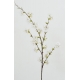 FLEUR FLORALE CHERRY BLOSSOM BLANC X10 - PREVENTE