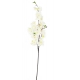 FLEUR FLORALE CHERRY BLOSSOM BLANC X10 - PREVENTE